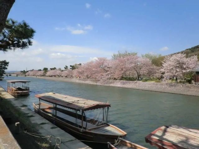 🚣♂️🌿 Hozugawa River Boat Ride: Kyoto’s Wildest (and Chillest) Adventure! 🌿🚣♂️