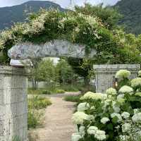 【山梨】白い建物と石畳 緑、季節の花々 様々なオシャレな飲食店やお土産店