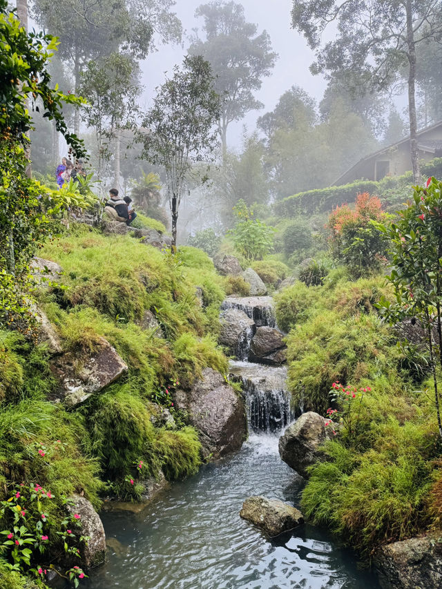 Finding Zen by the Waterfall