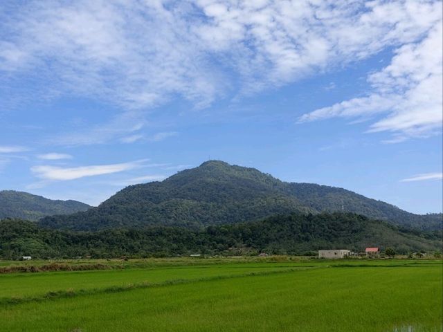 Kota Mahsuri 