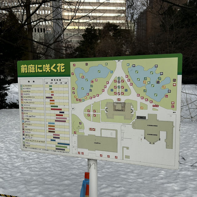 札幌旅行✈️札幌駅徒歩圏内の観光地紹介✨