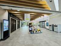 Discover Baedari’s Book Haven