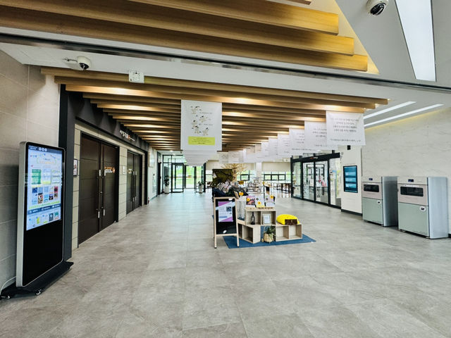Discover Baedari’s Book Haven