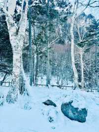 【北海道】層雲峽：被冰封的流星瀑布和銀河瀑布