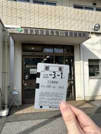 東京的兩種節奏：閃耀的鐵塔與靜靜盛開的街角櫻