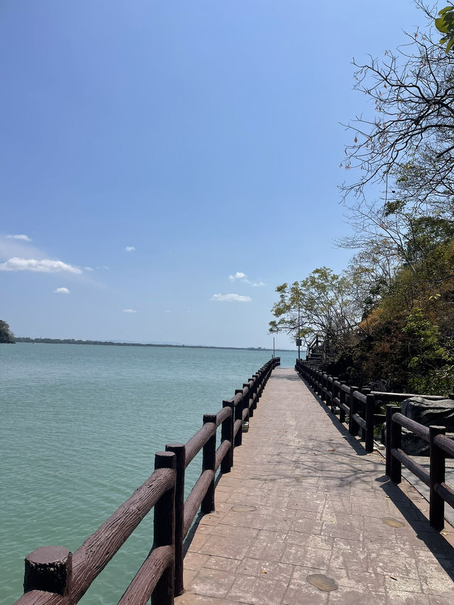 สะพานข้ามกาลเวลา✨