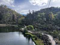 Discover the beauty of Launceston Tasmania 