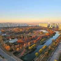 Ansan Lake Park (Ansan)