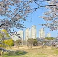 Ansan Lake Park (Ansan)