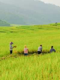 Pù luông