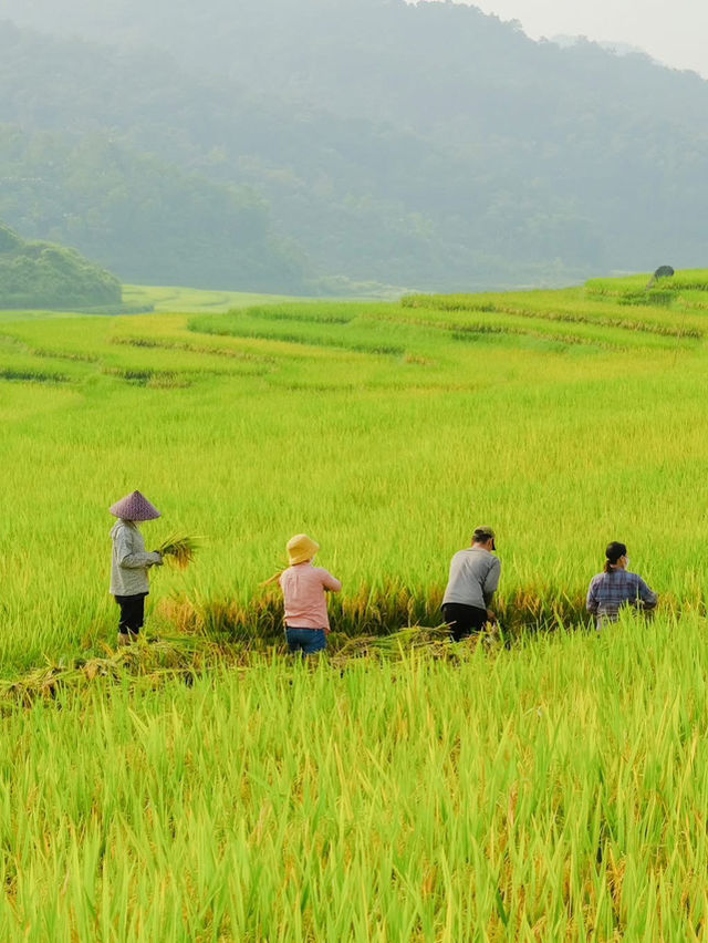 Pù luông