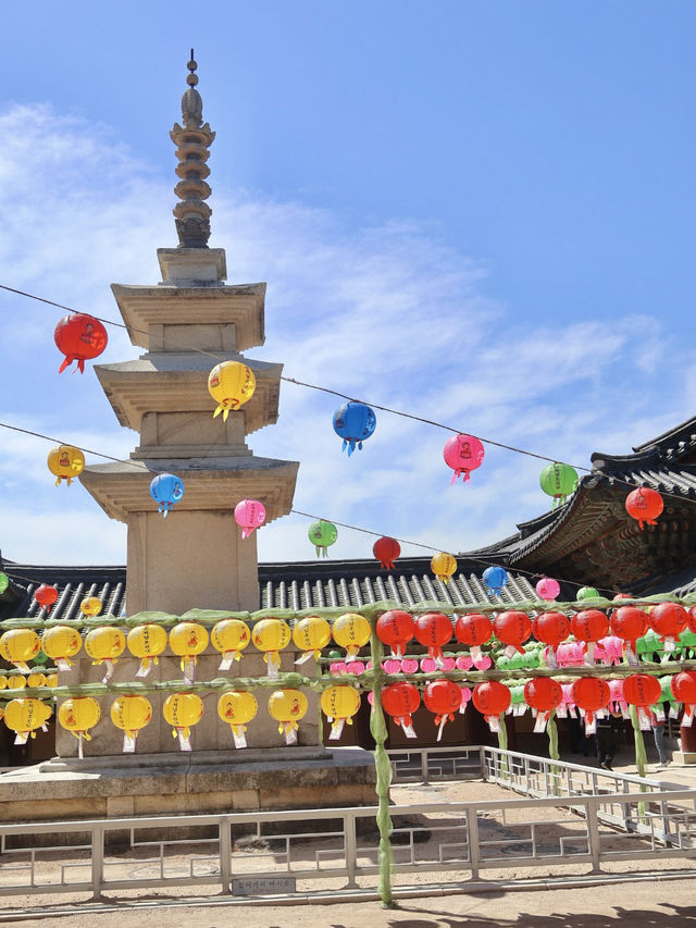 경주여행 유네스코 세계문화유산 보러가요🔔