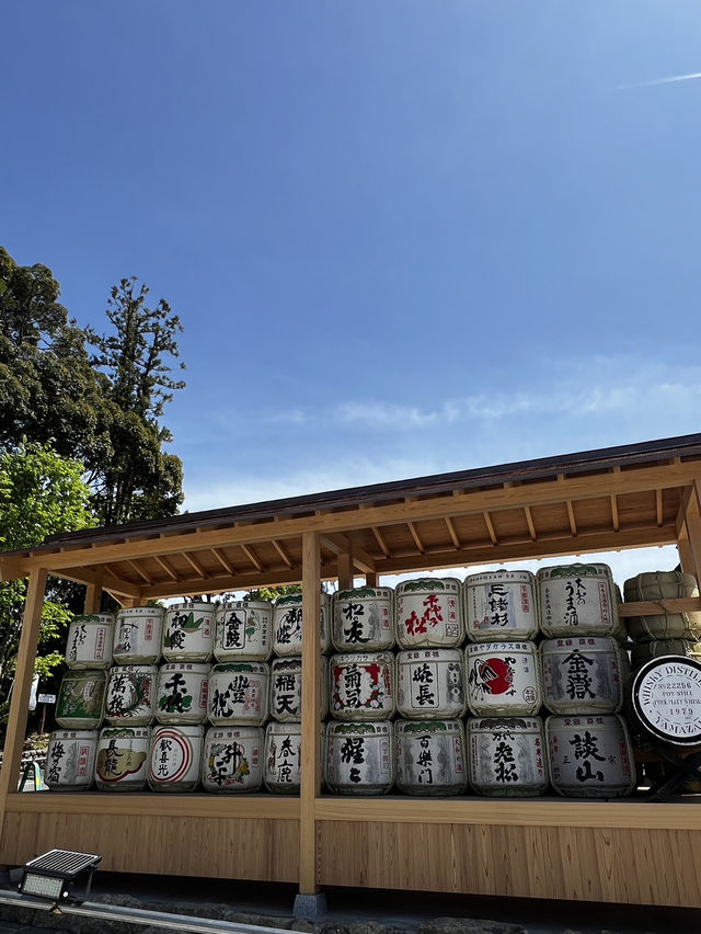神様に“山そのもの”を祀るという、ちょっと異次元な神社🇯🇵✈️🌎