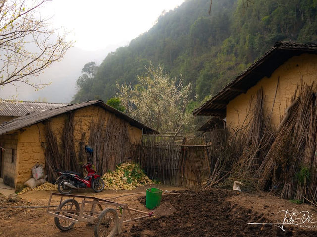 Hà Giang