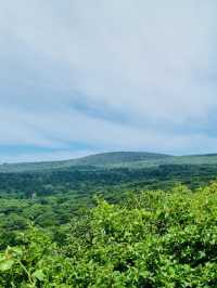 A Breath of Fresh Air and Panoramic Views at Seogwipo Natural Recreational Forest