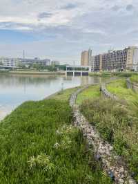 感受繁市中自然與建築藝術結合的魅力✨🌳蠔鄉湖公園🦪 ❤️