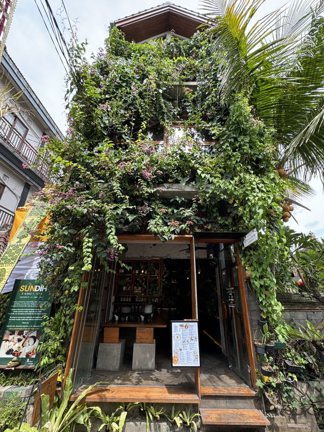 Exploring Ubud A Serene Escape into Bali