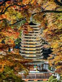 Tanzan shrine 