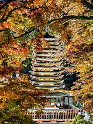 Tanzan shrine 