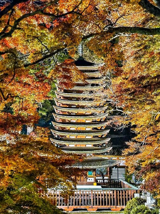 Tanzan shrine 