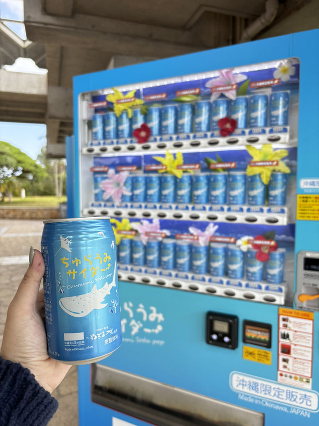 沖繩你不能不去的美麗海水族館🪼