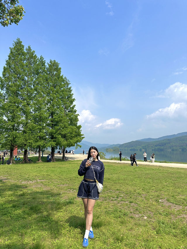 푸릇한 여름 가족나들이 방문하기 좋은 양평 핫플 두물머리 🍃✨💚