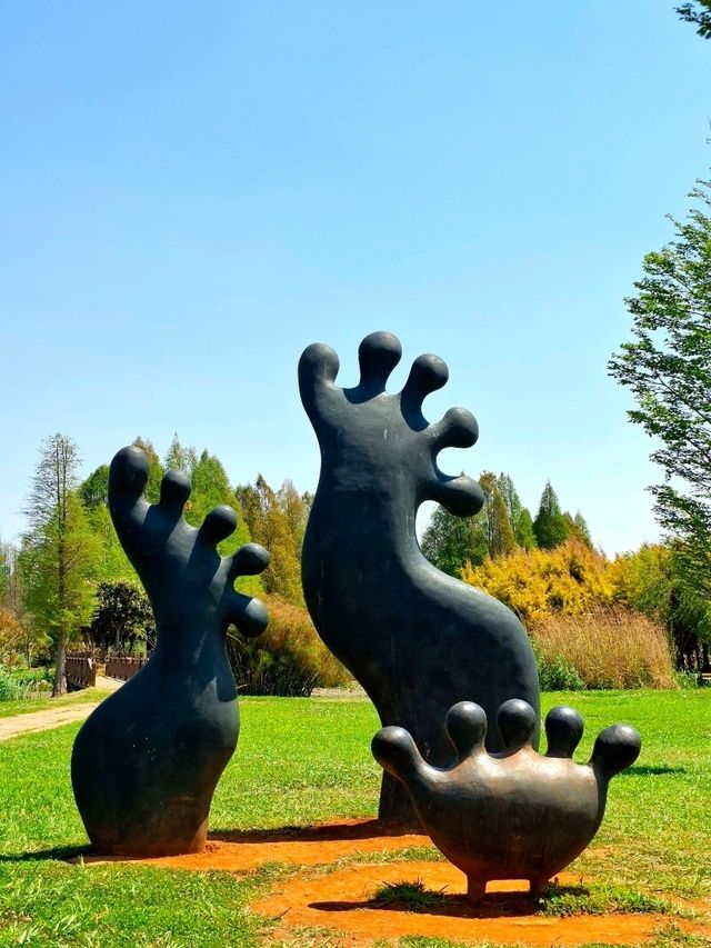 Baofeng Wetland