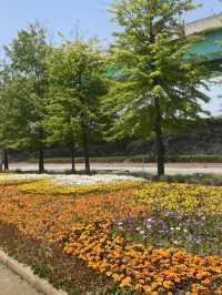 서울근교데이트 구리한강시민공원 봄꽃나들이🌼