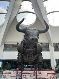 A day in Birmingham