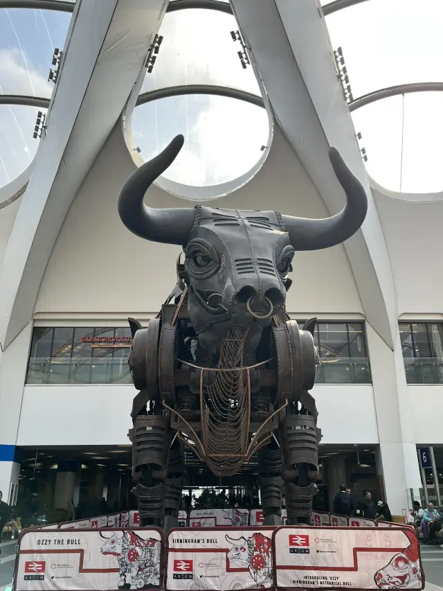 A day in Birmingham