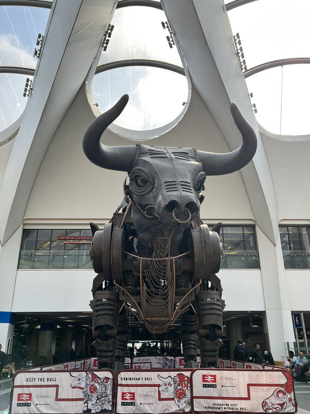 A day in Birmingham
