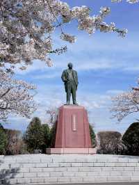 2025五月北海道獨遊追櫻之旅🌸 - 第二彈