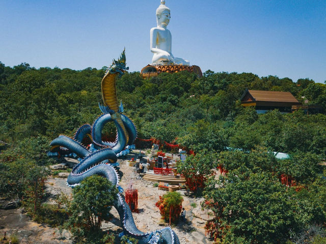 ปู่ศรีมุกดา พญานาคองค์ใหญ่ งดงามมาก วัดภูมโนรมย์  