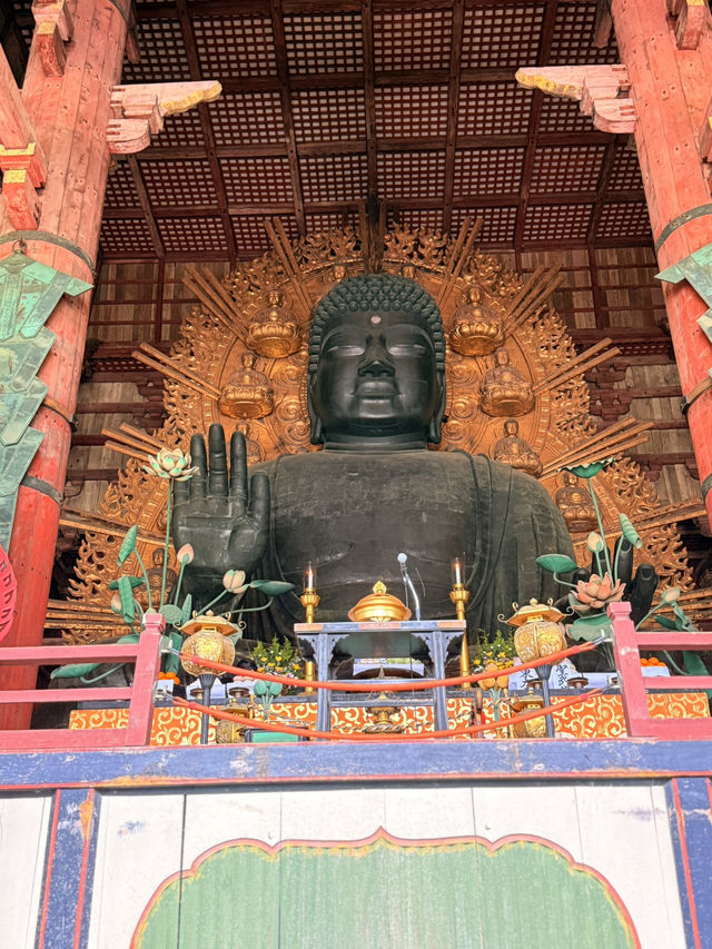 奈良｜5層樓高莊嚴大佛 到聖武天皇蓋的東大寺感受千年歷史