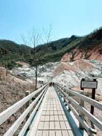 2025五月北海道獨遊追櫻之旅🌸 - 第三彈