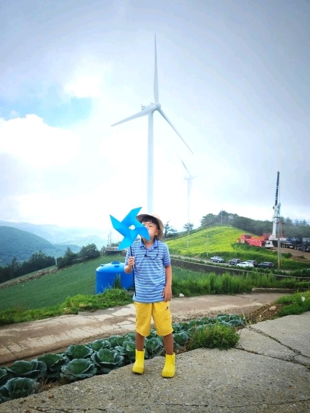 태백하늘아래[매봉산 바람의 언덕]