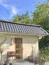 경주에서 휴식을 원한다면 이곳이에요 ✨