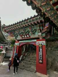 Busan: Ocean Breeze, Mountain Calm, and a Dash of City Pulse