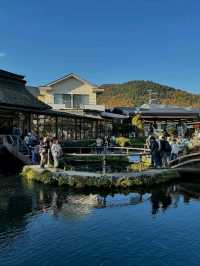 Discover the Charm of Oshino Hakkai in Spring