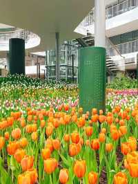 📍: Miracle of Natural🌷โครงการ PTT LN