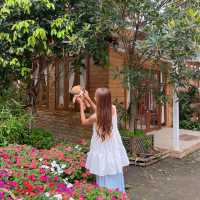 🪵คาเฟ่บ้านไม้ในสวนที่ระยอง