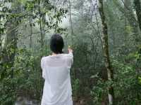 ทริป 2 วัน 1 คืน เขาใหญ่