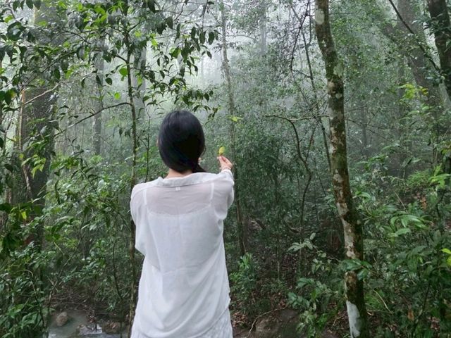 ทริป 2 วัน 1 คืน เขาใหญ่