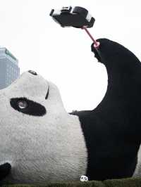 🐼 3วัน2คืน เที่ยวตูเจียงเยี่ยน เมืองโบราณในจีน