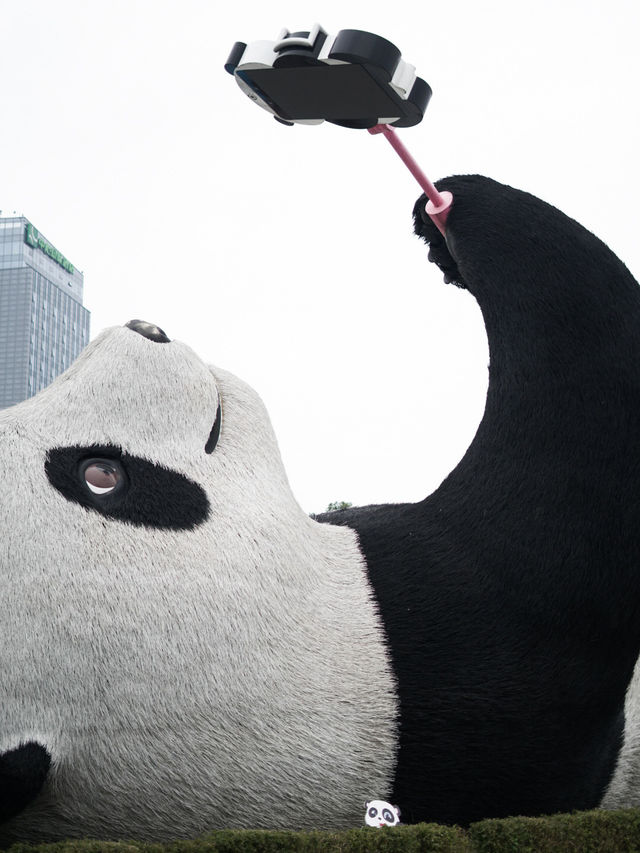 🐼 3วัน2คืน เที่ยวตูเจียงเยี่ยน เมืองโบราณในจีน