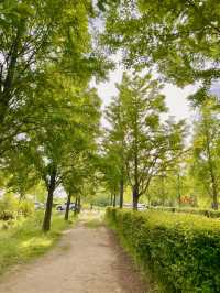 부산 피크닉 명소는 여기야 여기! 🍀🌿🌱☘️