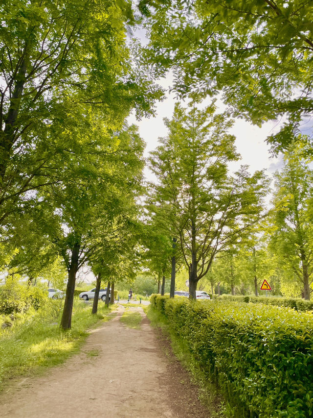 부산 피크닉 명소는 여기야 여기! 🍀🌿🌱☘️