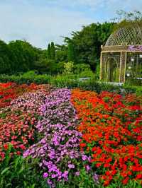 ECOLAND IN JEJU ISLAND.
