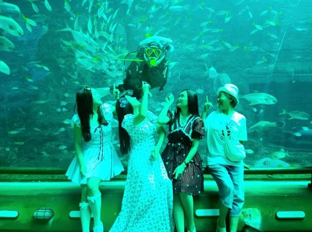 Aquarium สุดว้าวววว✨️