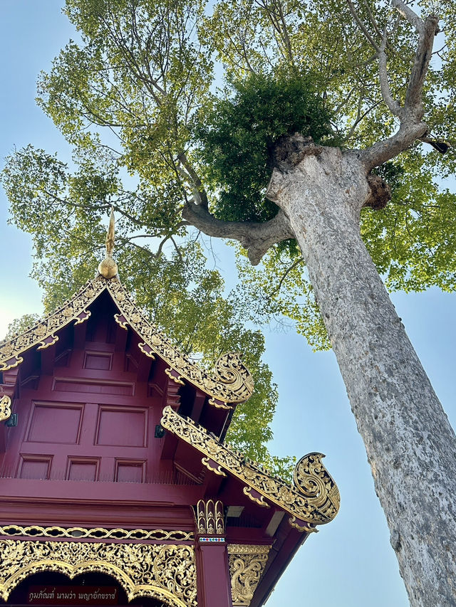 สายมูที่เชียงใหม่-เส้นทางแห่งศรัทธาและจิตวิญญาณ